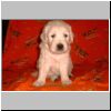 vrh2001_31/Athos.jpg