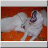 vrh2003_16/DSCF0003.jpg
